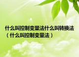 什么叫控制变量法什么叫转换法（什么叫控制变量法）