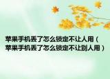 苹果手机丢了怎么锁定不让人用（苹果手机丢了怎么锁定不让别人用）