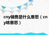 cny销售是什么意思（cny啥意思）