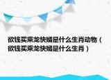 欲钱买乘龙快婿是什么生肖动物（欲钱买乘龙快婿是什么生肖）