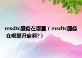 msdtc服务在哪里（msdtc服务 在哪里开启啊?）