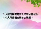 个人所得税密码怎么设置才能成功（个人所得税密码怎么设置）
