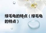绿毛龟的特点（绿毛龟的特点）