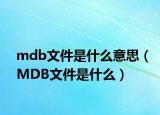 mdb文件是什么意思（MDB文件是什么）