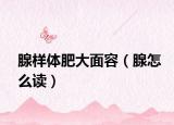 腺样体肥大面容（腺怎么读）