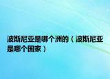 波斯尼亚是哪个洲的（波斯尼亚是哪个国家）