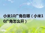 小米10广角在哪（小米10广角怎么开）