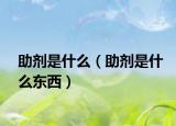 助剂是什么（助剂是什么东西）