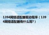 1394网络适配器驱动程序（1394网络适配器有什么用?）