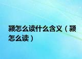颍怎么读什么含义（颍怎么读）