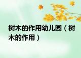 树木的作用幼儿园（树木的作用）