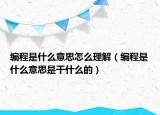 编程是什么意思怎么理解（编程是什么意思是干什么的）