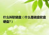 什么叫软磁盘（什么是磁盘软盘硬盘?）
