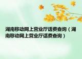 湖南移动网上营业厅话费查询（湖南移动网上营业厅话费查询）
