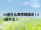 cv是什么意思网络语（cv是什么）