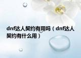 dnf达人契约有用吗（dnf达人契约有什么用）