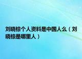 刘晓棕个人资料是中国人么（刘晓棕是哪里人）