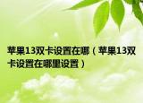 苹果13双卡设置在哪（苹果13双卡设置在哪里设置）