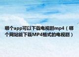 哪个app可以下载电视剧mp4（哪个网站能下载MP4格式的电视剧）
