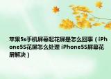 苹果5s手机屏幕起花屏是怎么回事（iPhone5S花屏怎么处理 iPhone5S屏幕花屏解决）