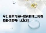 今日更新青苗补偿费和地上附着物补偿费有什么区别