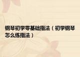钢琴初学零基础指法（初学钢琴怎么练指法）