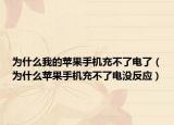 为什么我的苹果手机充不了电了（为什么苹果手机充不了电没反应）