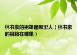 林书豪的祖籍是哪里人（林书豪的祖籍在哪里）