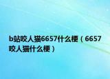 b站咬人猫6657什么梗（6657咬人猫什么梗）