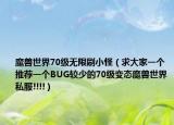 魔兽世界70级无限刷小怪（求大家一个推荐一个BUG较少的70级变态魔兽世界私服!!!!）