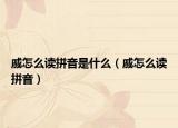 戚怎么读拼音是什么（戚怎么读拼音）