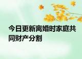 今日更新离婚时家庭共同财产分割