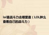 lol查战斗力去哪里查（LOL肿么查看自己的战斗力）