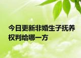 今日更新非婚生子抚养权判给哪一方