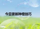 今日更新种橙技巧