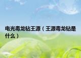电光毒龙钻王源（王源毒龙钻是什么）