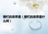 栅栏的意思是（栅栏的意思是什么啊）