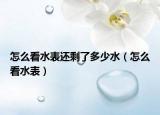 怎么看水表还剩了多少水（怎么看水表）