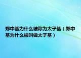 郑中基为什么被称为太子基（郑中基为什么被叫做太子基）