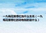 一九梅花报春红指什么生肖（一九梅花报春红的动物指的是什么）