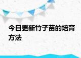 今日更新竹子苗的培育方法