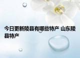 今日更新陵县有哪些特产 山东陵县特产