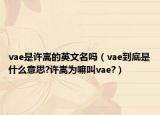 vae是许嵩的英文名吗（vae到底是什么意思?许嵩为嘛叫vae?）