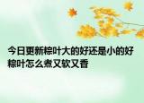 今日更新粽叶大的好还是小的好 粽叶怎么煮又软又香