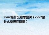 cvv2是什么意思图片（cvv2是什么意思在哪里）