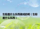 生粉是什么东西做成的呢（生粉是什么东西）