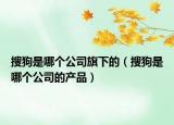 搜狗是哪个公司旗下的（搜狗是哪个公司的产品）