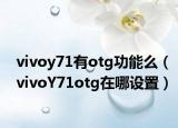 vivoy71有otg功能么（vivoY71otg在哪设置）