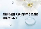 蓝精灵是什么牌子的车（蓝波精灵是什么车）
