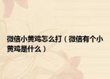 微信小黄鸡怎么打（微信有个小黄鸡是什么）